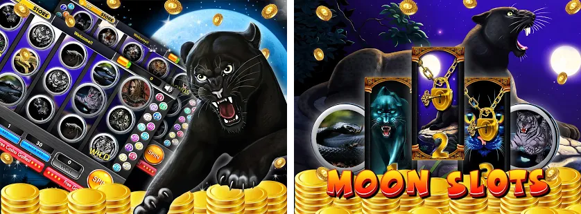 สิ่งที่ควรรู้ก่อนเล่นสล็อตเกม Panther Moon